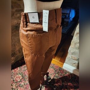 NWT White House Black Market Brown Coated Pants